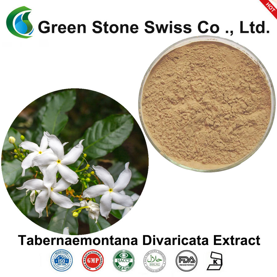 Tabernaemontana Divaricata Extract Tabernaemontana衣属鸦葱提取